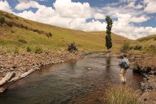 What You Need To Know About Fly Fishing